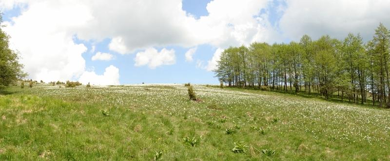 Panorama 2.JPG